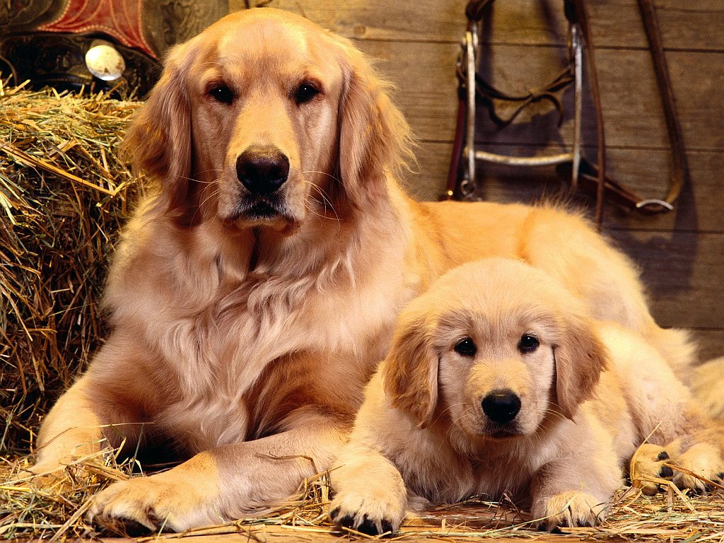 Family Portrait